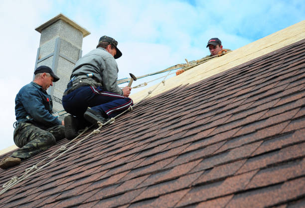 Best New Roof Installation  in Friona, TX